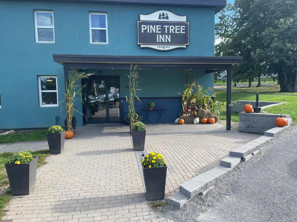 Pine Tree Inn Main image 1